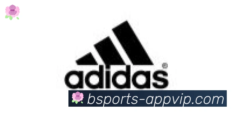 bsports体育合作伙伴